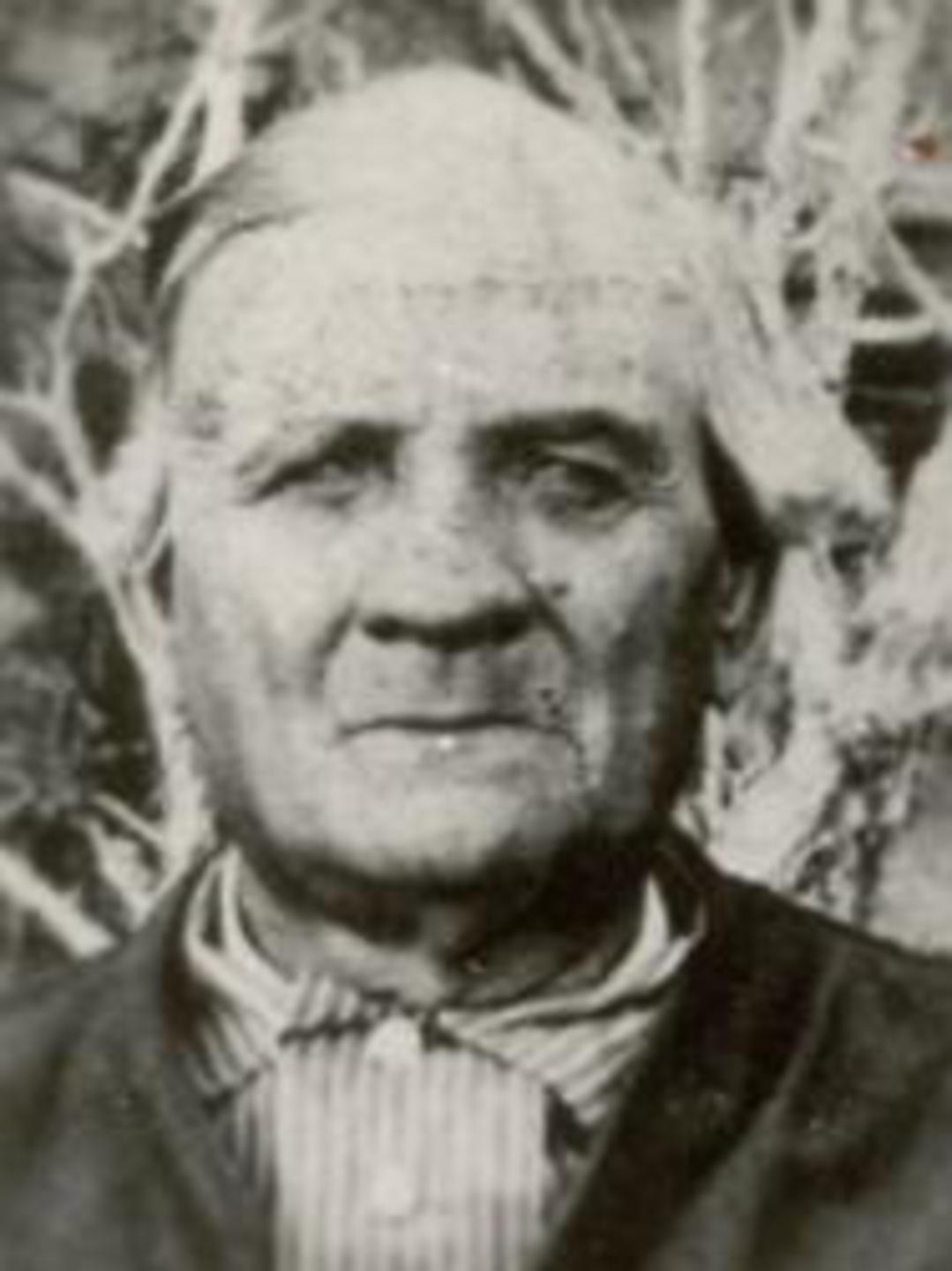 John Wesley Norton (1820 - 1901) Profile